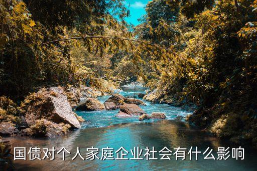 國債對個人家庭企業(yè)社會有什么影響
