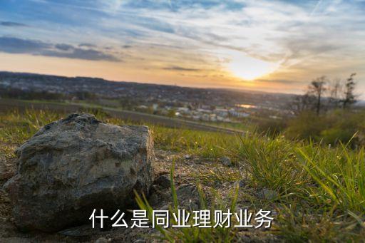 什么是同業(yè)理財(cái)業(yè)務(wù)