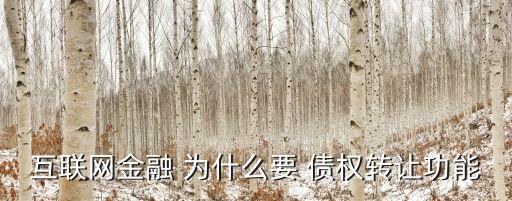 互聯(lián)網(wǎng)金融 為什么要 債權(quán)轉(zhuǎn)讓功能
