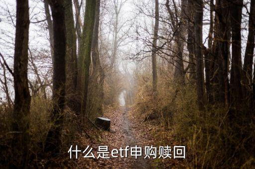 etf的申購(gòu)是什么意思，財(cái)富證券軟件里ETF申贖是什么意思