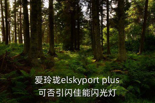 南航elite是什么意思，求助sky priority和elite plus有什么區(qū)別