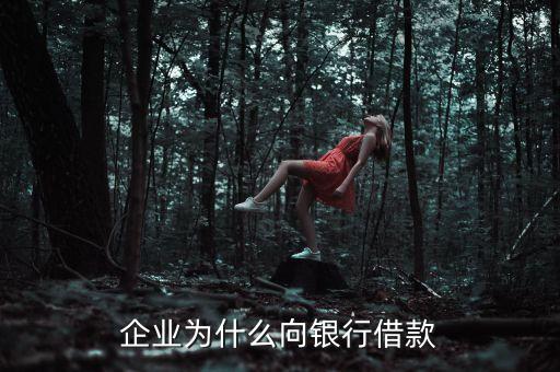 企業(yè)為什么向銀行借款