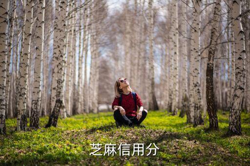 芝麻信用800有什么用，芝麻信用有什么作用