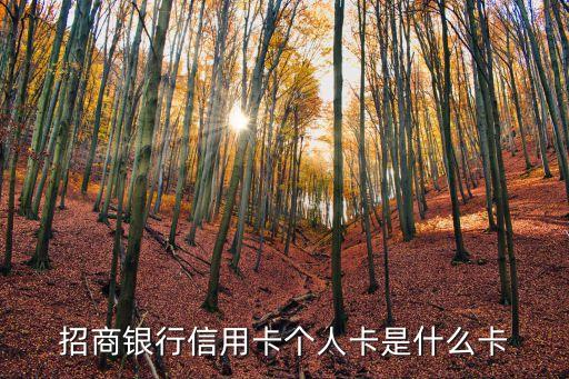 招商銀行信用卡個(gè)人卡是什么卡