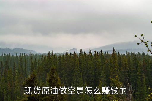 做空是怎么賺錢的，機(jī)構(gòu)做空市場(chǎng)怎么獲利