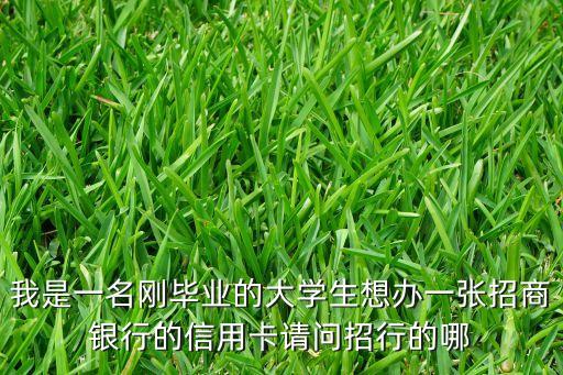 我是一名剛畢業(yè)的大學生想辦一張招商銀行的信用卡請問招行的哪