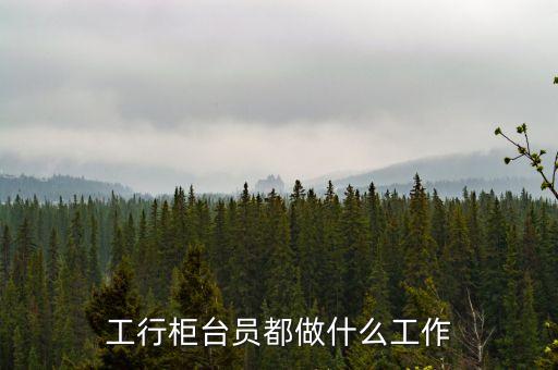 工行柜臺(tái)是什么，什么是網(wǎng)點(diǎn)柜臺(tái)
