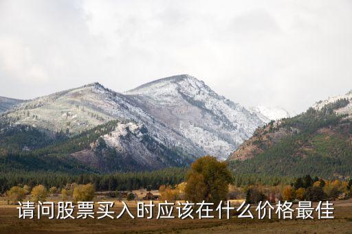 請問股票買入時應(yīng)該在什么價格最佳