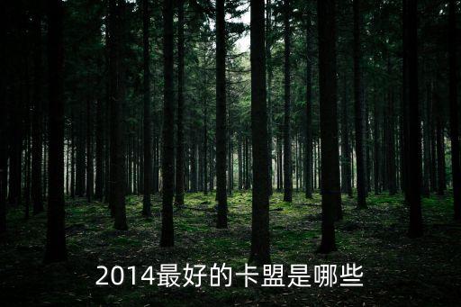 2014最好的卡盟是哪些