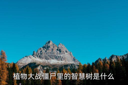 植物大戰(zhàn)僵尸里的智慧樹(shù)是什么