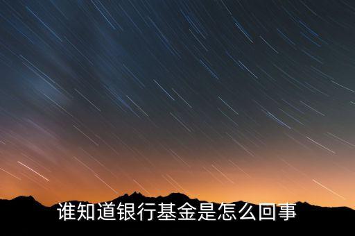 誰知道銀行基金是怎么回事