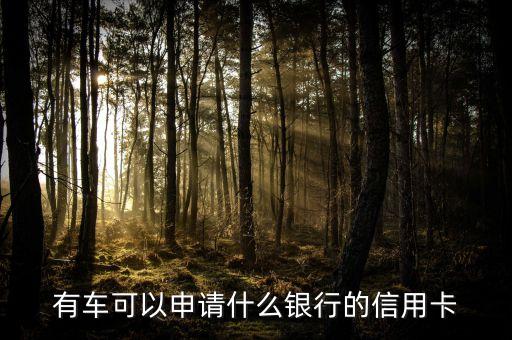 有車可以申請什么銀行的信用卡