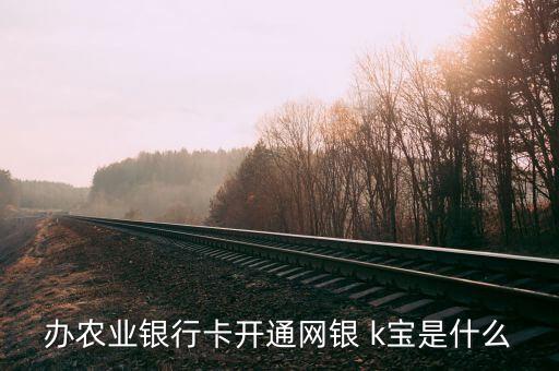 農(nóng)業(yè)銀行開通k寶是什么，辦農(nóng)業(yè)銀行卡開通網(wǎng)銀 k寶是什么