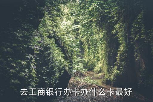 旅行辦工行什么卡，外出旅游辦什么信用卡比較好