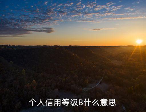 個(gè)人信用等級B什么意思