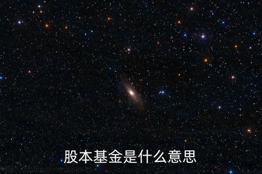 股本基金是什么意思