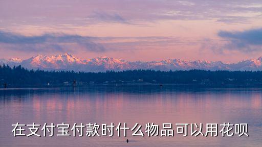 在支付寶付款時什么物品可以用花唄