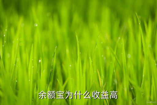 余額寶為什么火，余額寶為什么收益高