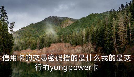 信用卡的交易密碼指的是什么我的是交行的yongpower卡