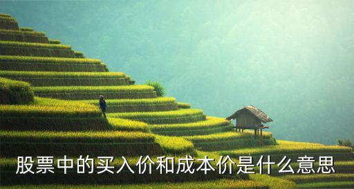 股票中成本價是什么，股票中成本價是什么意思