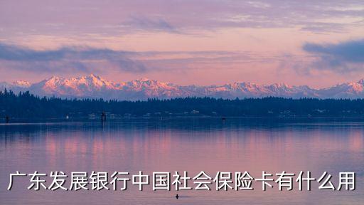 廣東發(fā)展銀行中國社會保險卡有什么用