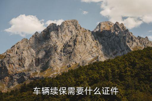 續(xù)保車險(xiǎn)要帶什么證件，續(xù)車險(xiǎn)需要帶什么證件