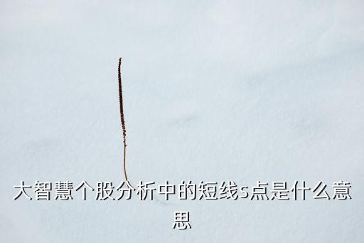 大智慧個(gè)股分析中的短線s點(diǎn)是什么意思