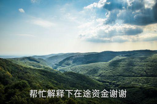 在途借款申請(qǐng)什么意思，幫忙解釋下在途資金謝謝