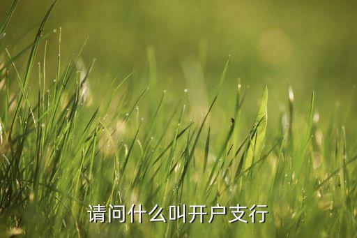 請(qǐng)問(wèn)什么叫開(kāi)戶支行