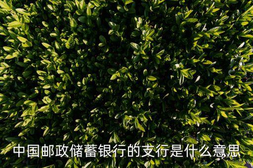 中國郵政儲(chǔ)蓄銀行的支行是什么意思
