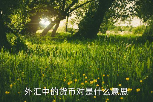 外匯貨幣對(duì)什么意思，外匯中的貨幣對(duì)是什么意思