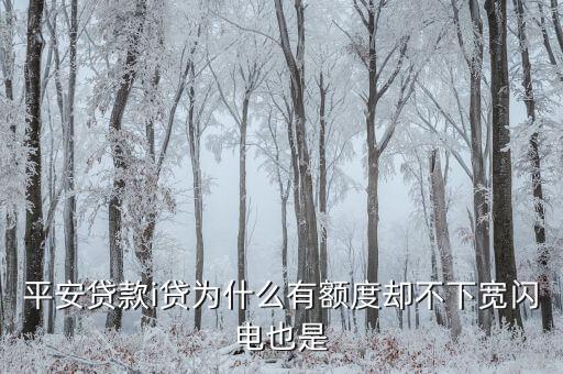 為什么i貸有額度，平安貸款i貸為什么有額度卻不下寬閃電也是