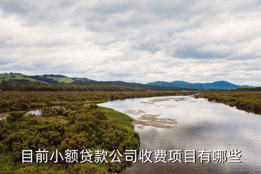 目前小額貸款公司收費(fèi)項(xiàng)目有哪些