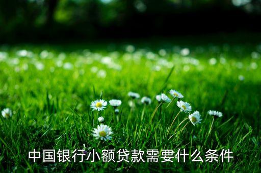 什么人需要小額貸款嗎，興業(yè)銀行小額貸款條件是什么