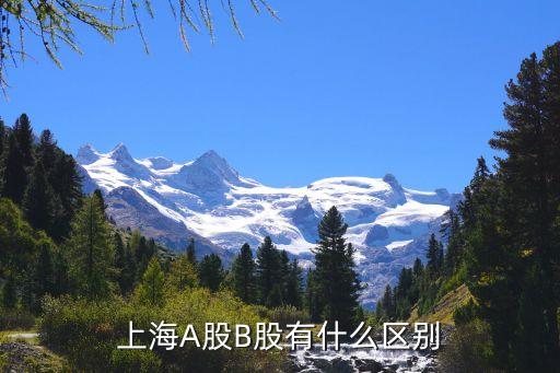 滬市a股b股有什么區(qū)別，滬深A(yù)股滬B股深B股有什么區(qū)別