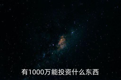 1000萬投資什么好，有1000萬能投資什么東西