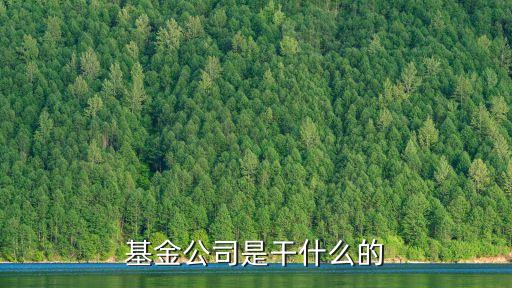基金公司是干什么的