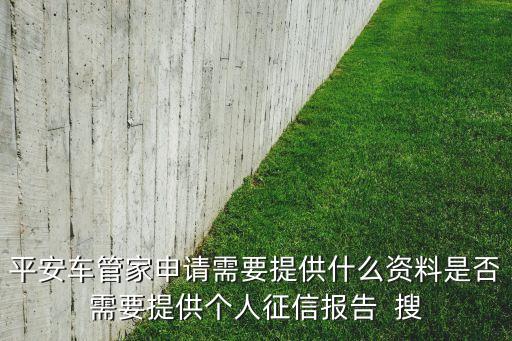 平安車管家申請需要提供什么資料是否需要提供個人征信報告  搜