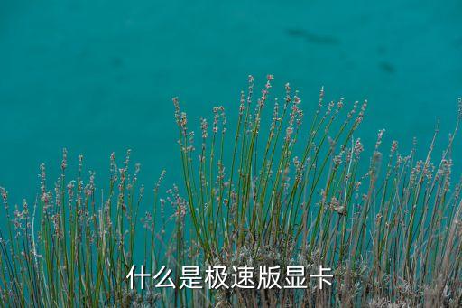 廣發(fā)極速用卡什么意思，什么是極速版顯卡