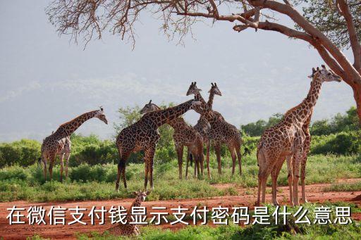 為什么開通微信支付密碼是什么情況，為什么有微信支付密碼