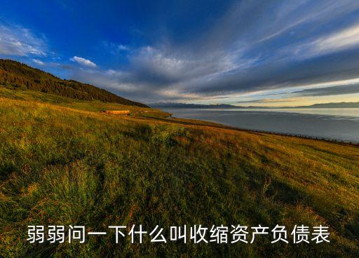 弱弱問一下什么叫收縮資產(chǎn)負債表