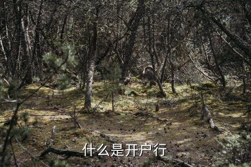 開戶銀行是什么，開戶行是什么意思