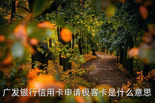 廣發(fā)銀行信用卡申請(qǐng)極客卡是什么意思