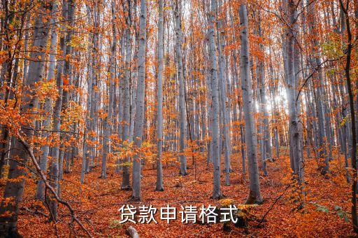 貸款申請單是什么樣的，請問貸款申請書文字材料怎么寫有沒有范文謝謝