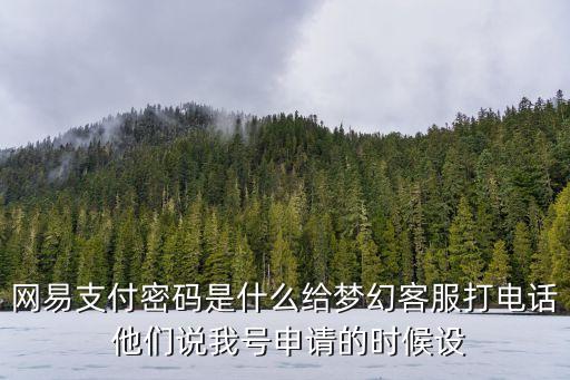 網(wǎng)易支付密碼是什么給夢幻客服打電話 他們說我號(hào)申請的時(shí)候設(shè)