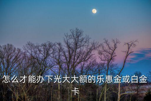 光大樂(lè)慧金要什么條件，光大樂(lè)惠金白金信用卡
