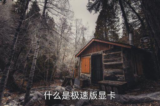 廣發(fā)極速用卡是什么意思，什么是極速版顯卡