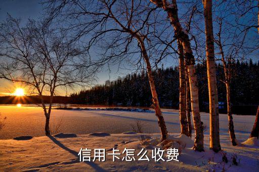 信用卡有些什么費用，信用卡辦理時候 要交哪種費用