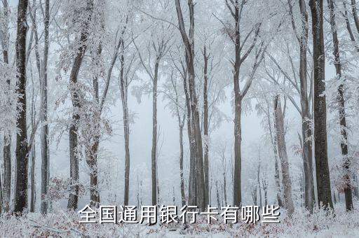 全國通用銀行卡有哪些