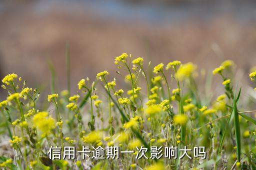 逾期1次有什么影響嗎，信用卡逾期一次影響大嗎